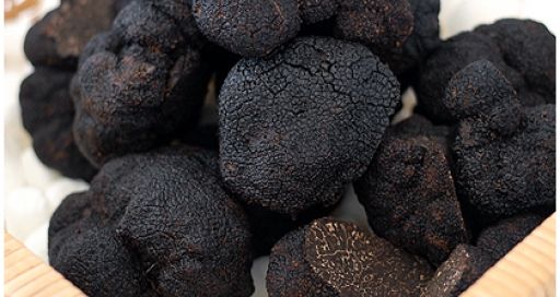 Black truffle mushroom with benefit for health