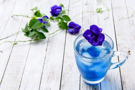 blue tea with benefit for cleanse your liver