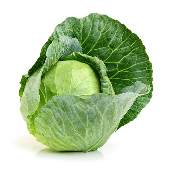 Cabbage with benefit for health