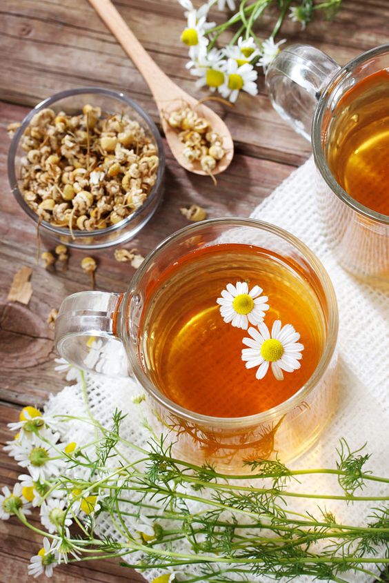 a fresh chamomile tea