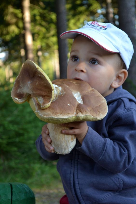 child eating big mushroom