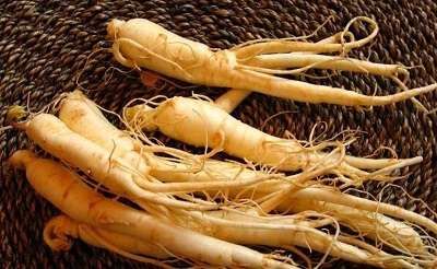 the group of ginseng in basket