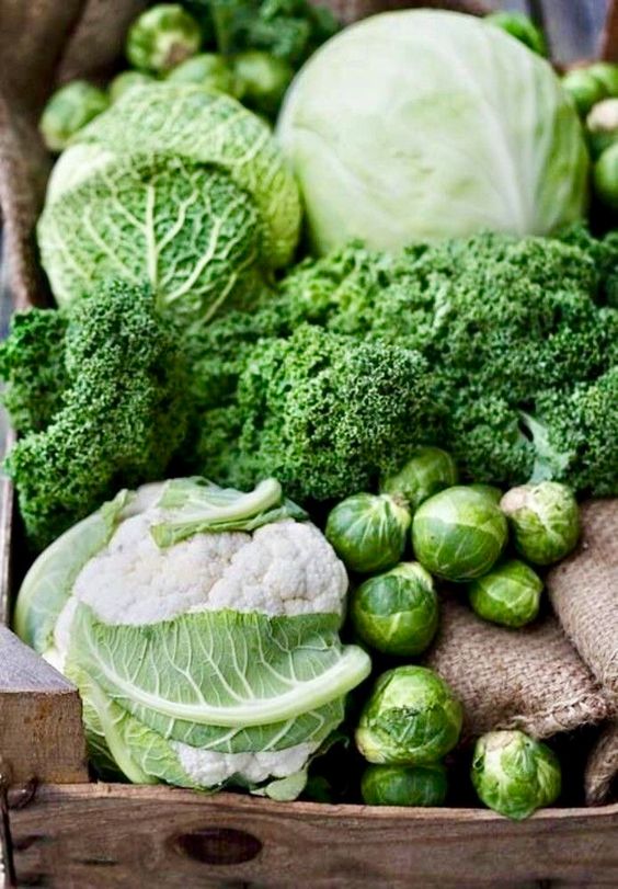 bunch of green vegetables