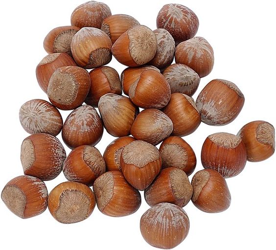 Hazelnut with benefit for your liver health