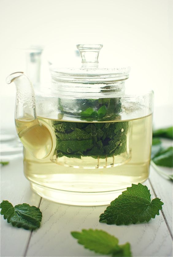 brewing lemon balm tea in a teapot