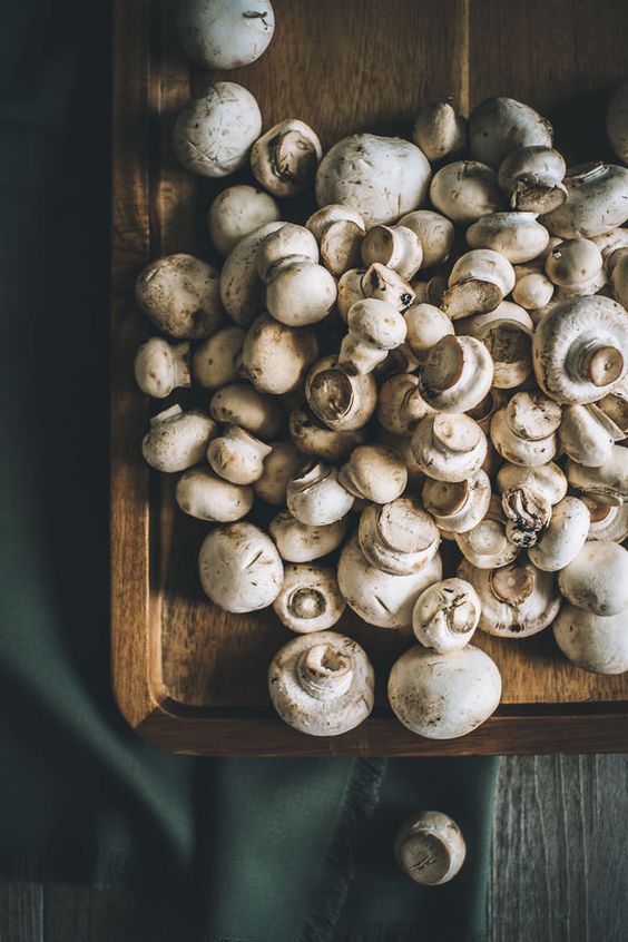 white color mushroom 