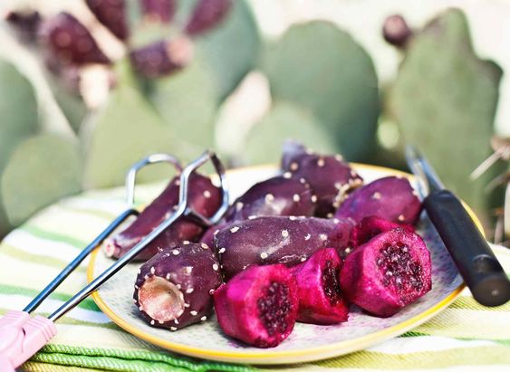 processed prickly pear