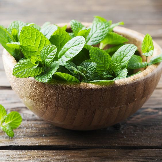 peppermint in the bowl