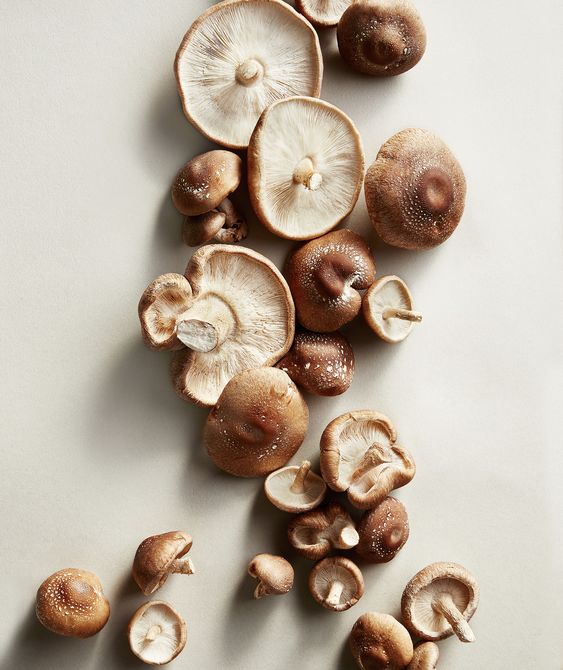 grup of shiitake mushroom containing mineral