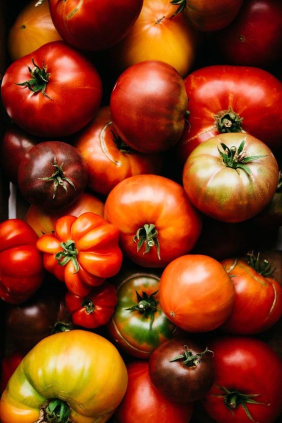 a bunch of tomatoes with variant color