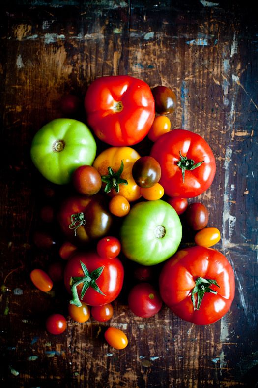 colorful tomatoes