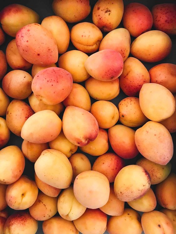 the health benefit of apricot that good for you