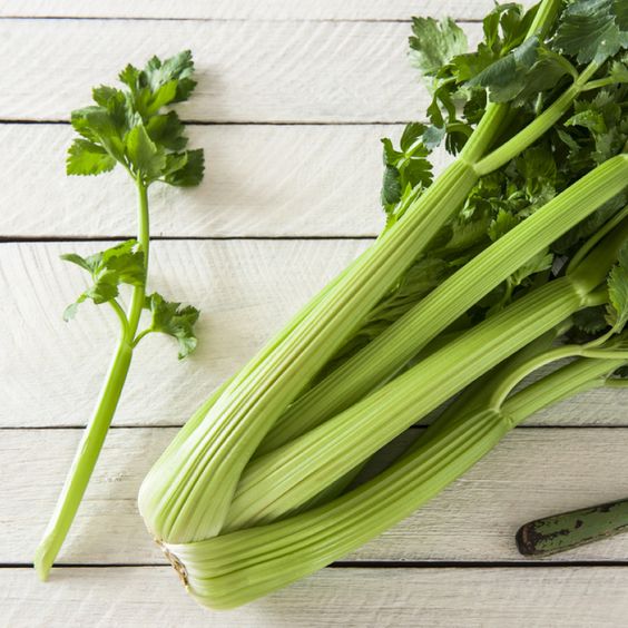celery that good for lessen your pneumonia symptom