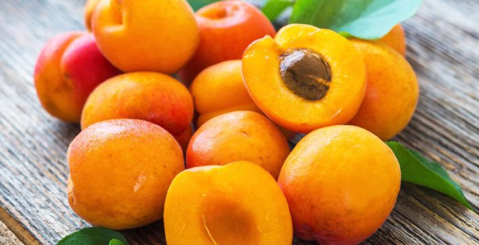 Fresh vs Dried Apricot which have more health benefit?