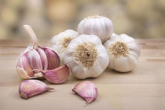 garlic is safe for children consumption