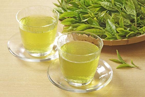 green tea have catechin as antibacterial properties