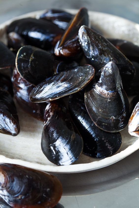 mussels that rich of mineral