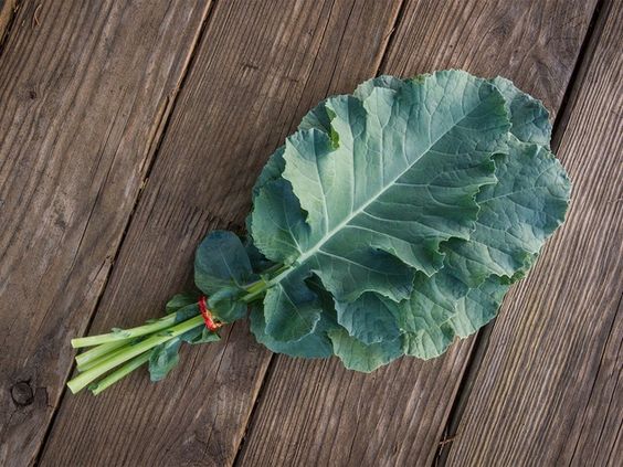 Collard is rich in vitamin K that is an important component of building bones