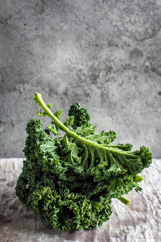 kale is high in vitamin K and calcium to keep bones stay healthy