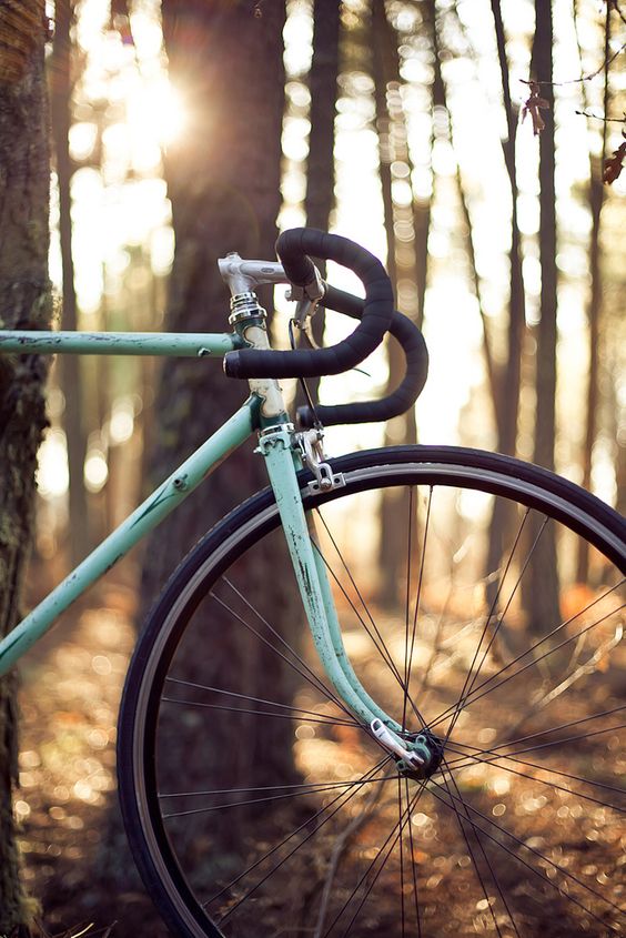 cycling is good choice to maintain your bone health while have vitamin D by sunlight