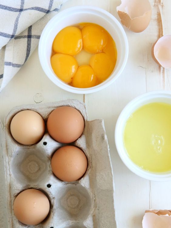 eggs that rich in protein for muscle builder