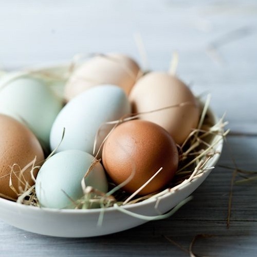 Egg could prevent anemia during pregnancy