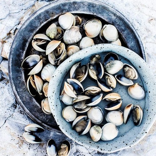 clams are good for anemia as long as its well cooked
