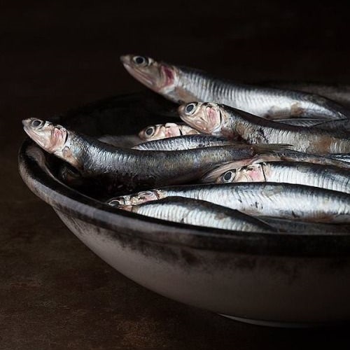 sardines are good for treating anemia in light serves