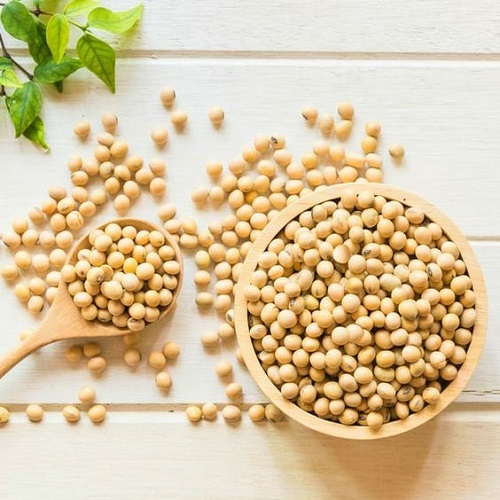 soybeans are good source of iron